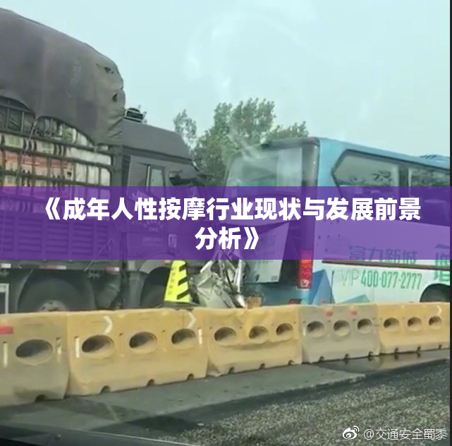 《成年人性按摩行业现状与发展前景分析》