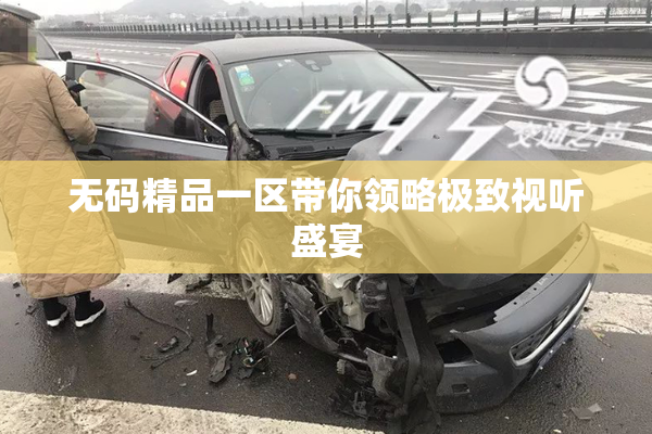 无码精品一区带你领略极致视听盛宴