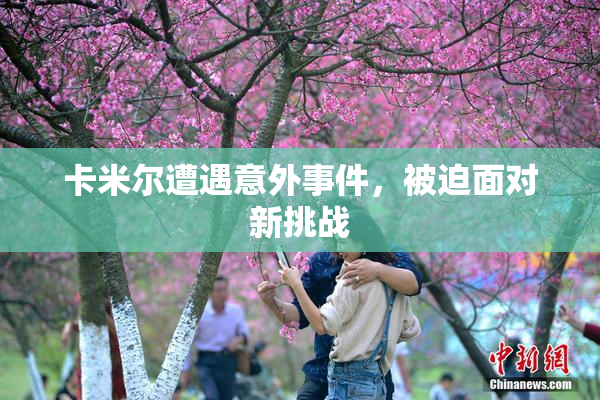 卡米尔遭遇意外事件，被迫面对新挑战