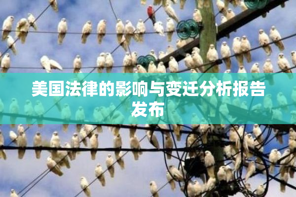 美国法律的影响与变迁分析报告发布