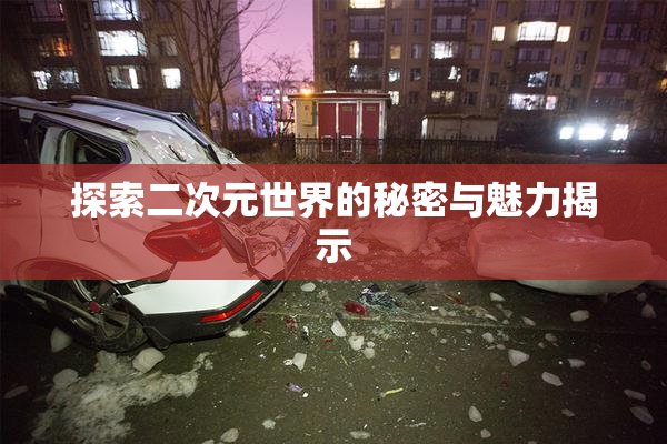 探索二次元世界的秘密与魅力揭示
