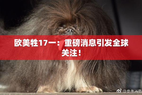 欧美牲17一：重磅消息引发全球关注！