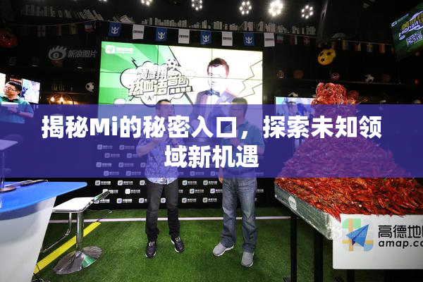揭秘Mi的秘密入口，探索未知领域新机遇