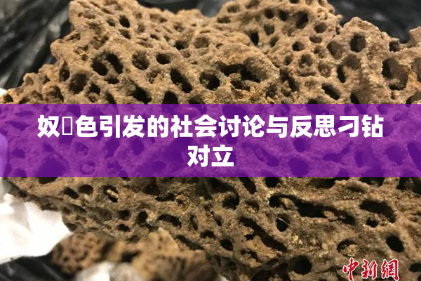 奴隷色引发的社会讨论与反思刁钻对立
