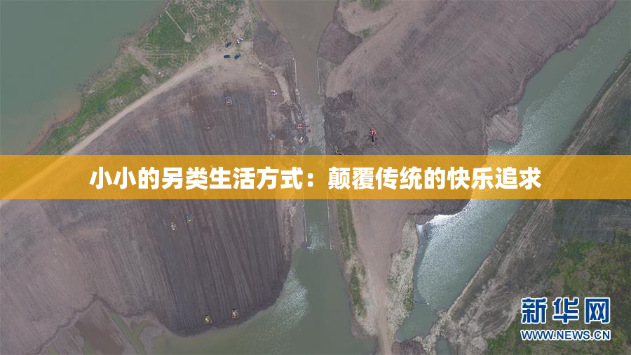 小小的另类生活方式：颠覆传统的快乐追求