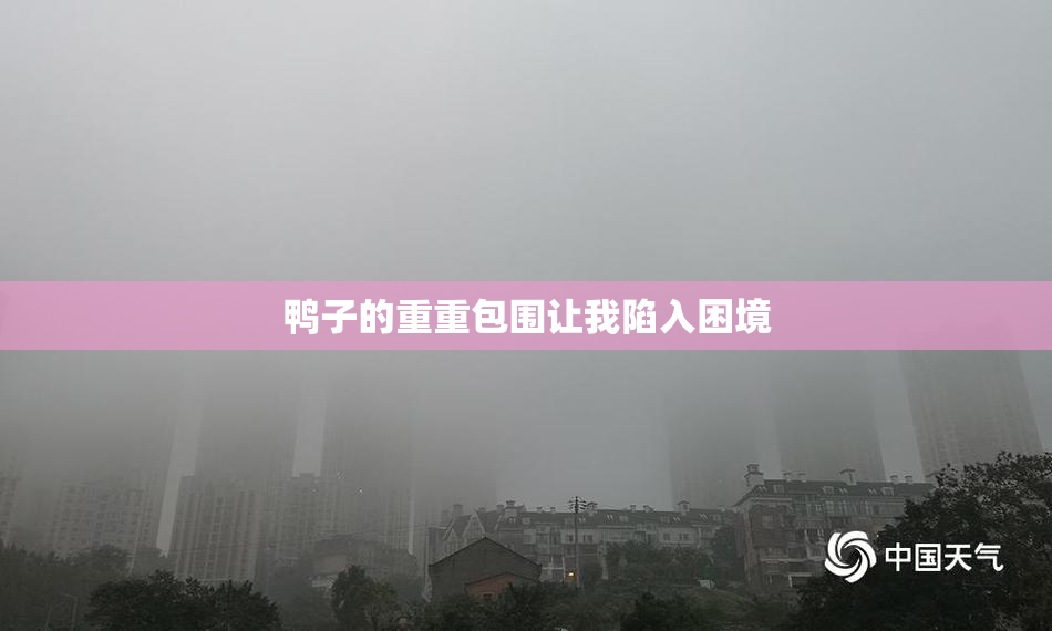 鸭子的重重包围让我陷入困境
