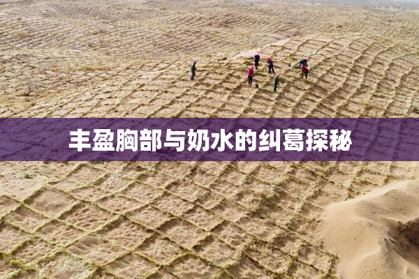 丰盈胸部与奶水的纠葛探秘