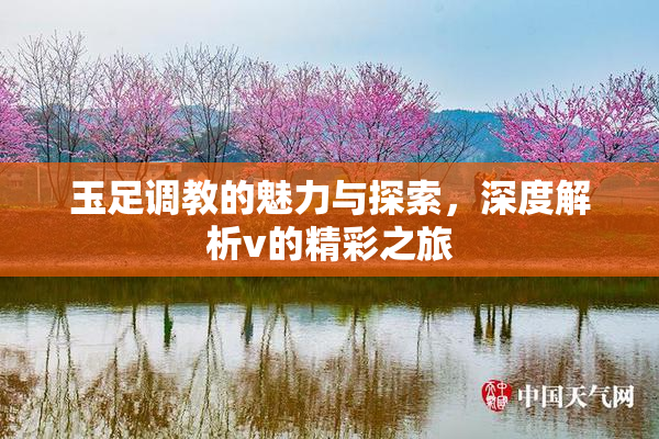 玉足调教的魅力与探索，深度解析v的精彩之旅