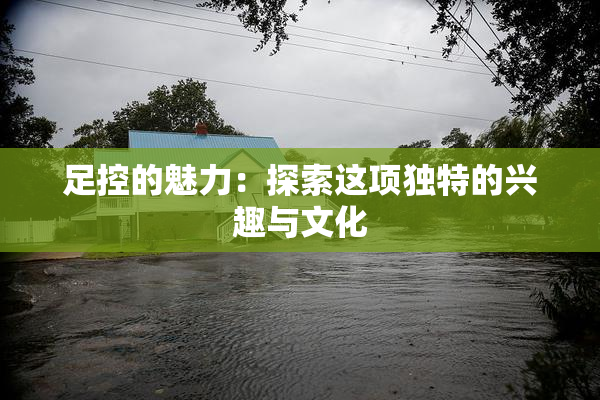 足控的魅力：探索这项独特的兴趣与文化