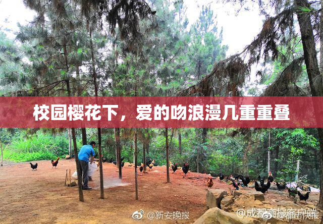 校园樱花下，爱的吻浪漫几重重叠