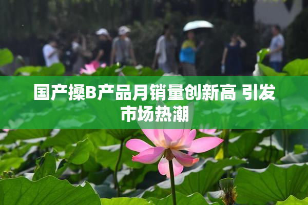 国产搡B产品月销量创新高 引发市场热潮