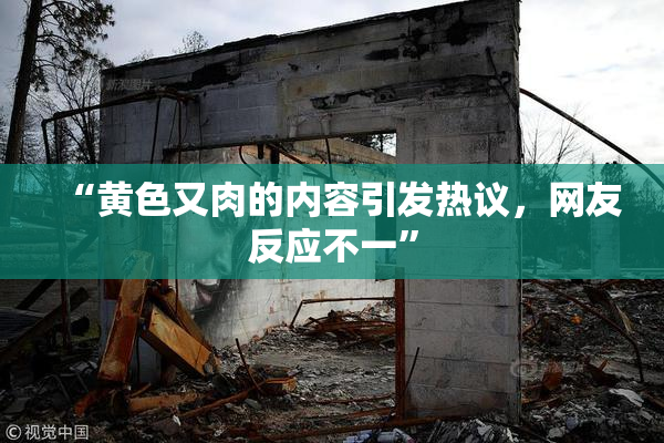 “黄色又肉的内容引发热议，网友反应不一”