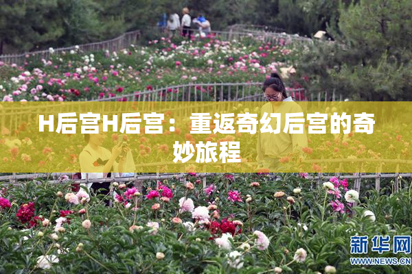 H后宫H后宫：重返奇幻后宫的奇妙旅程