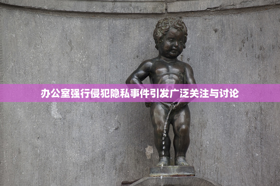 办公室强行侵犯隐私事件引发广泛关注与讨论
