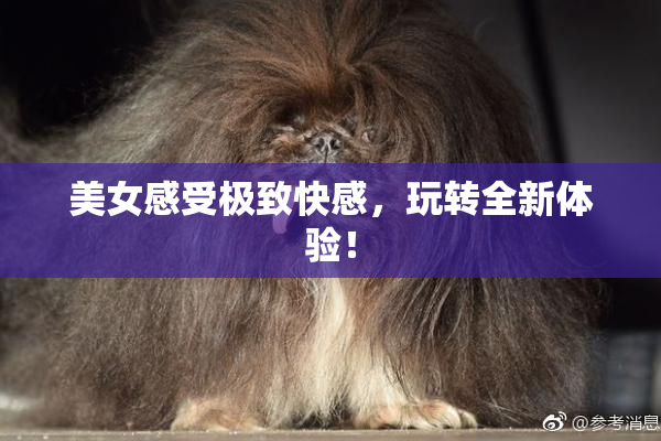 美女感受极致快感，玩转全新体验！