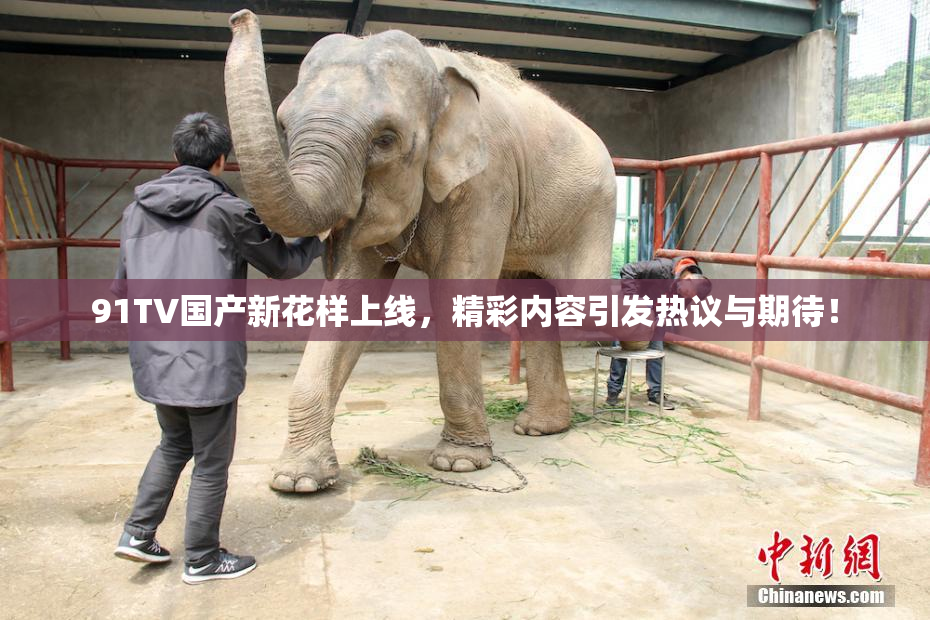 91TV国产新花样上线，精彩内容引发热议与期待！