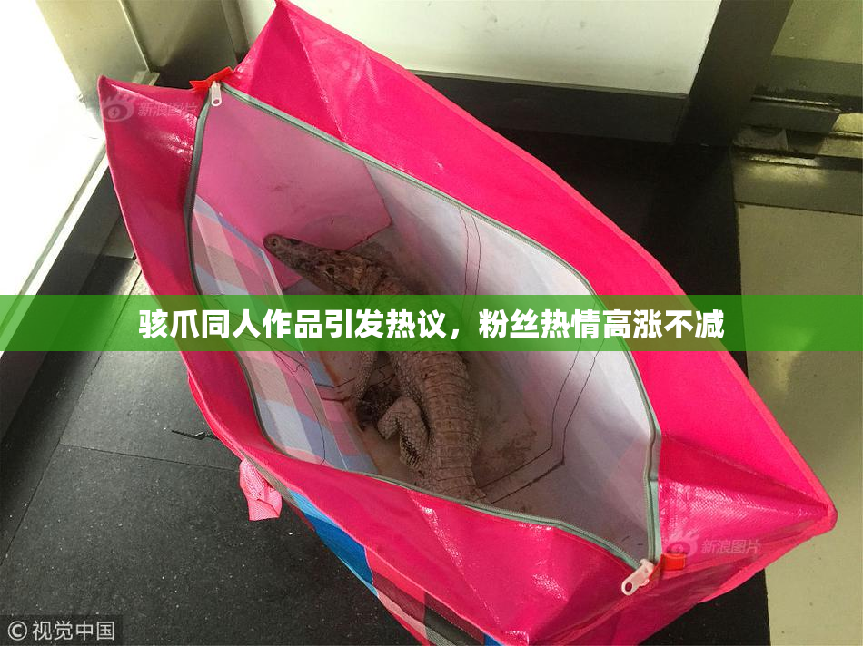 骇爪同人作品引发热议，粉丝热情高涨不减