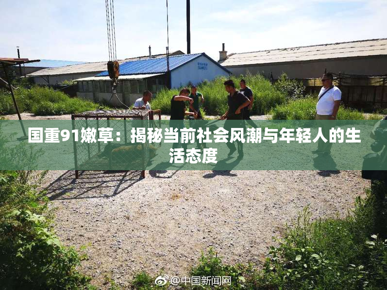 国重91嫩草：揭秘当前社会风潮与年轻人的生活态度