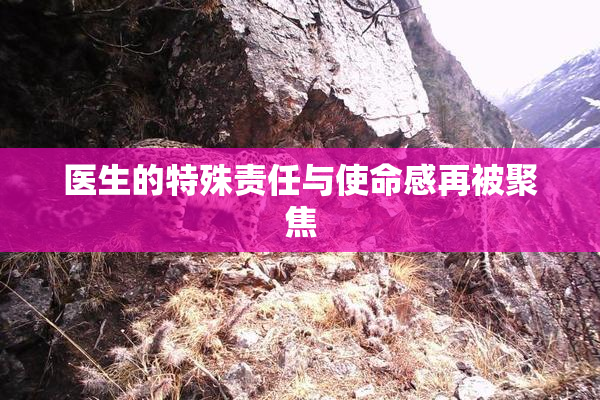 医生的特殊责任与使命感再被聚焦
