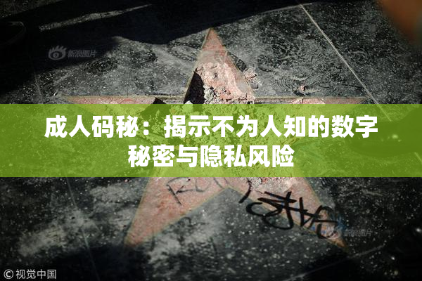 成人码秘：揭示不为人知的数字秘密与隐私风险