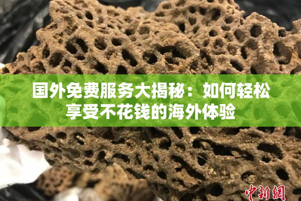 国外免费服务大揭秘：如何轻松享受不花钱的海外体验