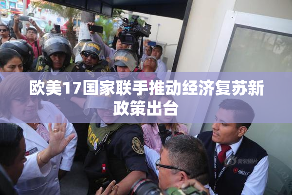 欧美17国家联手推动经济复苏新政策出台