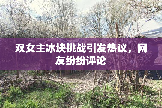 双女主冰块挑战引发热议，网友纷纷评论