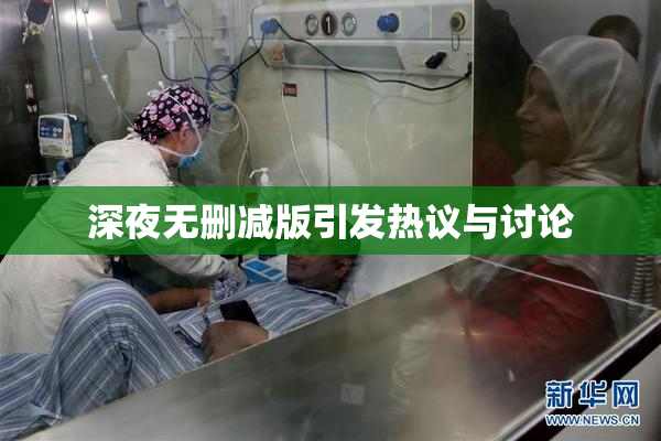 深夜无删减版引发热议与讨论
