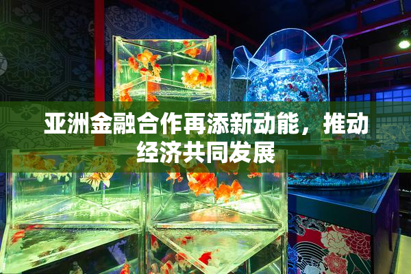 亚洲金融合作再添新动能，推动经济共同发展