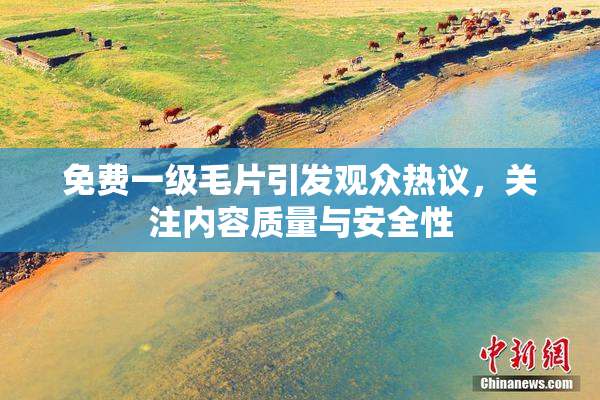 免费一级毛片引发观众热议，关注内容质量与安全性