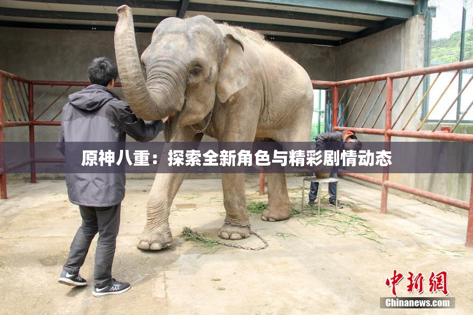 原神八重：探索全新角色与精彩剧情动态