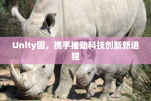 Unity固，携手推动科技创新新进程