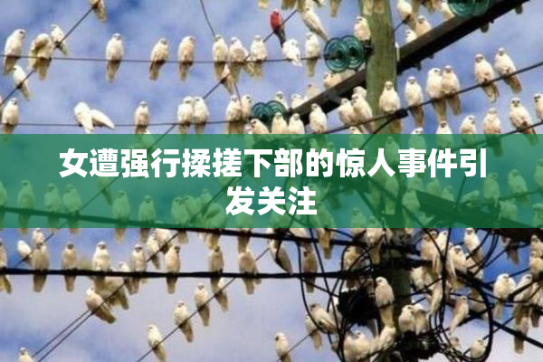 女遭强行揉搓下部的惊人事件引发关注