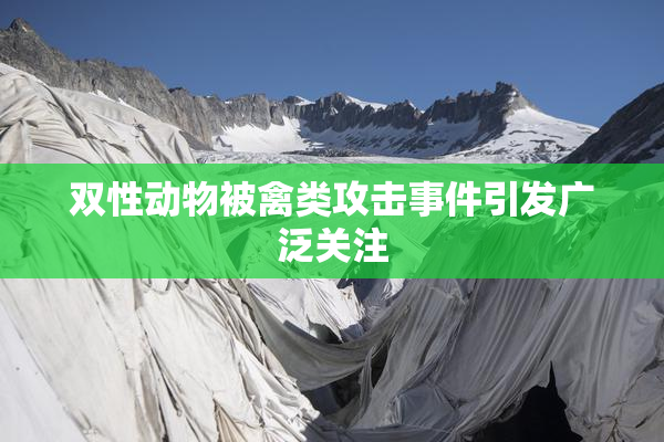 双性动物被禽类攻击事件引发广泛关注