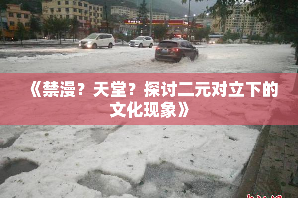 《禁漫？天堂？探讨二元对立下的文化现象》