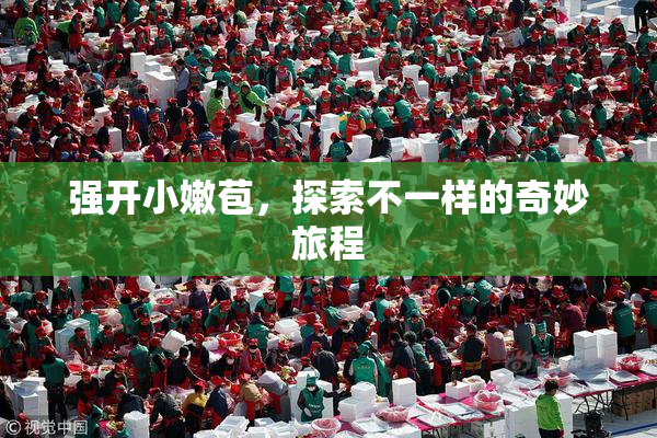 强开小嫩苞，探索不一样的奇妙旅程