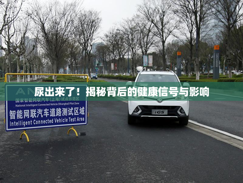 尿出来了！揭秘背后的健康信号与影响