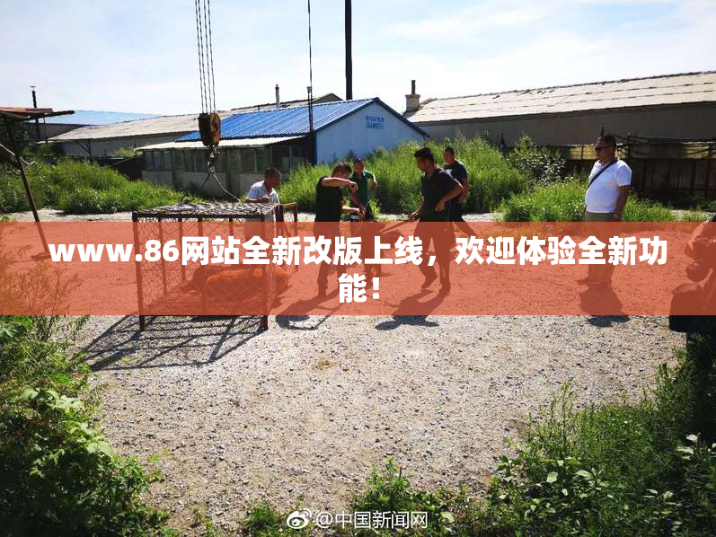 www.86网站全新改版上线，欢迎体验全新功能！