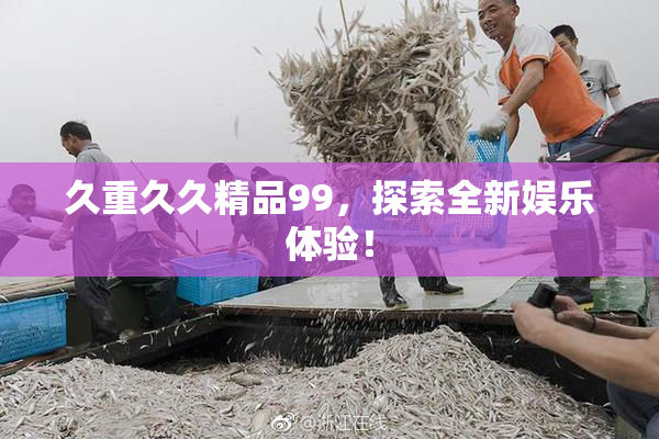 久重久久精品99，探索全新娱乐体验！