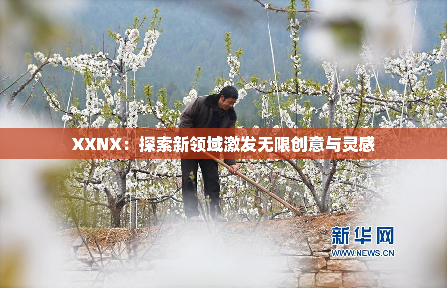 XXNX：探索新领域激发无限创意与灵感