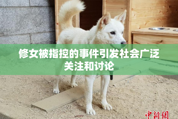 修女被指控的事件引发社会广泛关注和讨论
