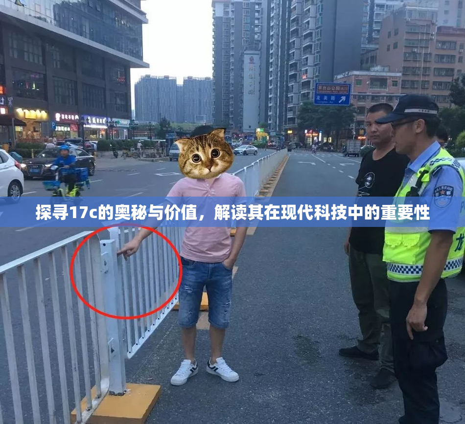 探寻17c的奥秘与价值，解读其在现代科技中的重要性