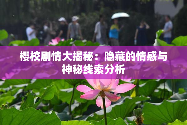樱校剧情大揭秘：隐藏的情感与神秘线索分析