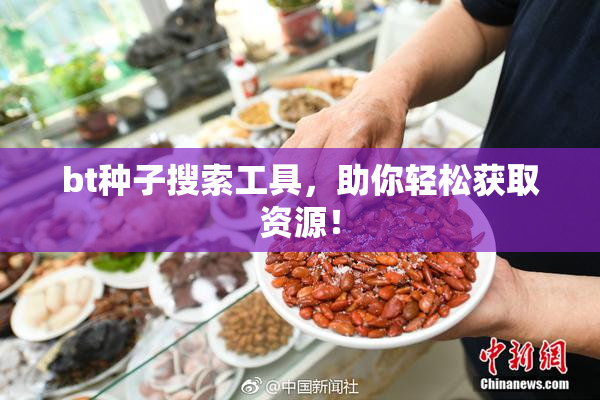 bt种子搜索工具，助你轻松获取资源！