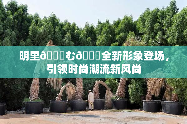 明里😚む🍍全新形象登场，引领时尚潮流新风尚