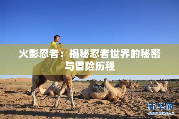 火影忍者：揭秘忍者世界的秘密与冒险历程