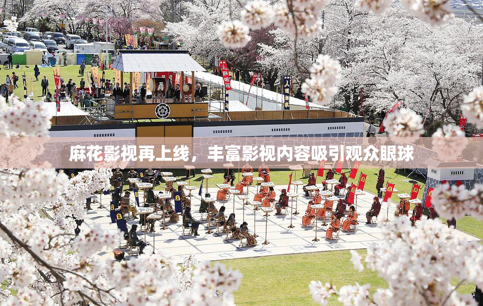 麻花影视再上线，丰富影视内容吸引观众眼球