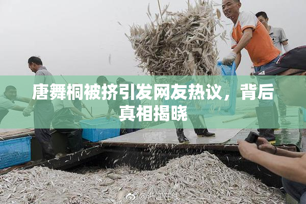 唐舞桐被挤引发网友热议，背后真相揭晓