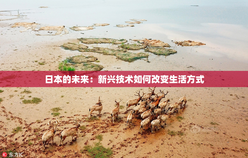 日本的未来：新兴技术如何改变生活方式