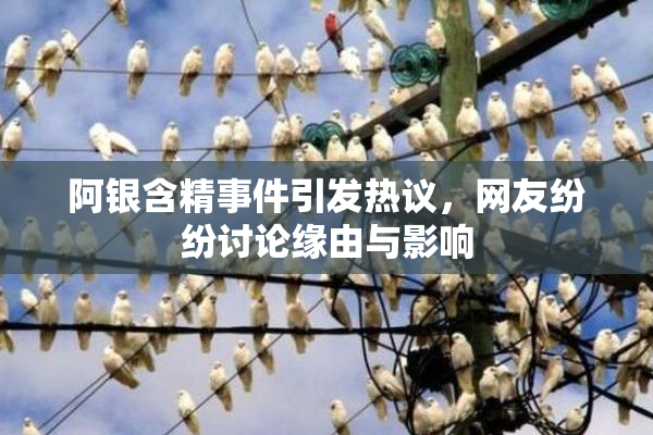 阿银含精事件引发热议，网友纷纷讨论缘由与影响